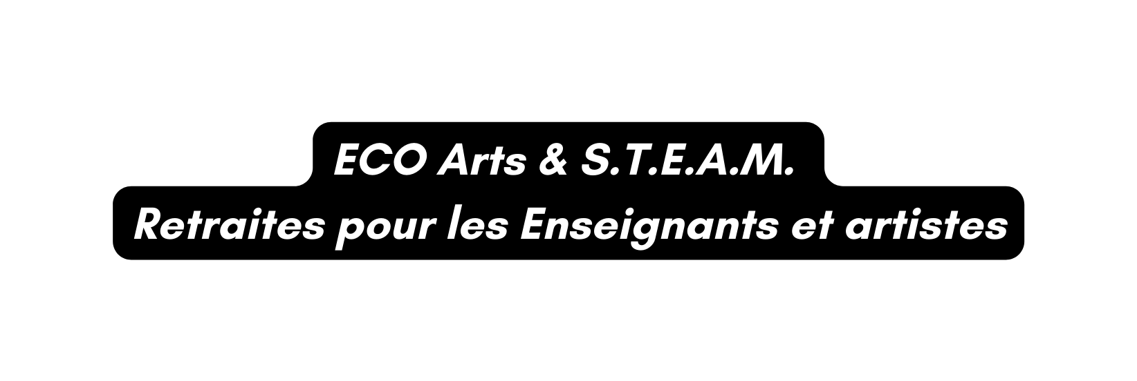 ECO Arts S T E A M Retraites pour les Enseignants et artistes